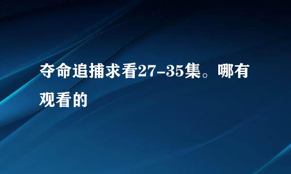 夺命追捕求看27-35集。哪有观看的