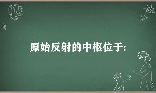 原始反射的中枢位于: