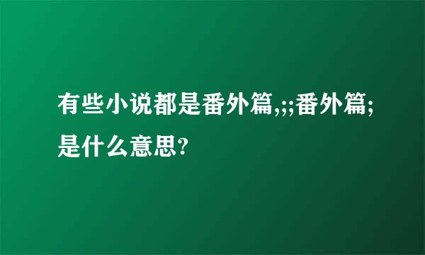 有些小说都是番外篇,;;番外篇;是什么意思?