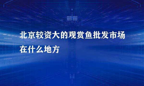 北京较资大的观赏鱼批发市场在什么地方