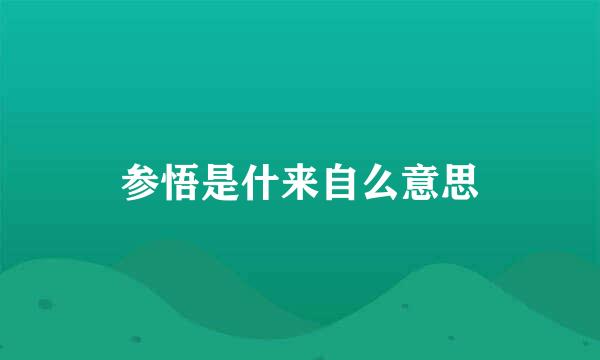 参悟是什来自么意思