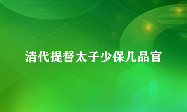 清代提督太子少保几品官