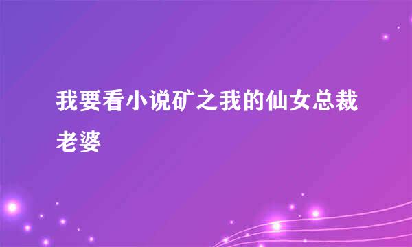 我要看小说矿之我的仙女总裁老婆