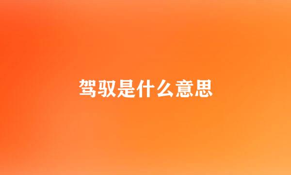 驾驭是什么意思