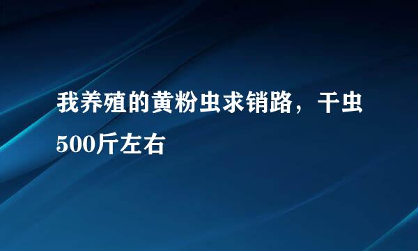 我养殖的黄粉虫求销路，干虫500斤左右