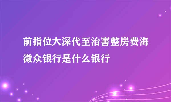 前指位大深代至治害整房费海微众银行是什么银行