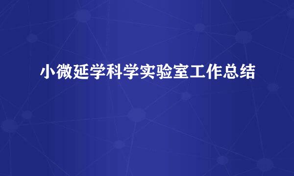 小微延学科学实验室工作总结