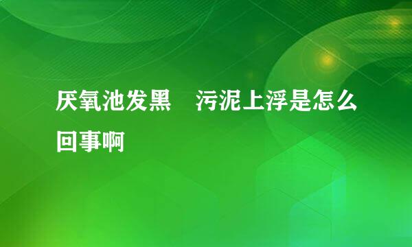 厌氧池发黑 污泥上浮是怎么回事啊