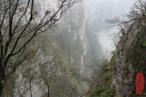 历尽天华成此景,人间万事出艰辛这句话说明什么