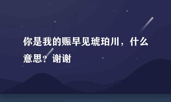 你是我的赈早见琥珀川，什么意思？谢谢