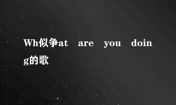 Wh似争at are you doing的歌