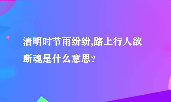 清明时节雨纷纷,路上行人欲断魂是什么意思？