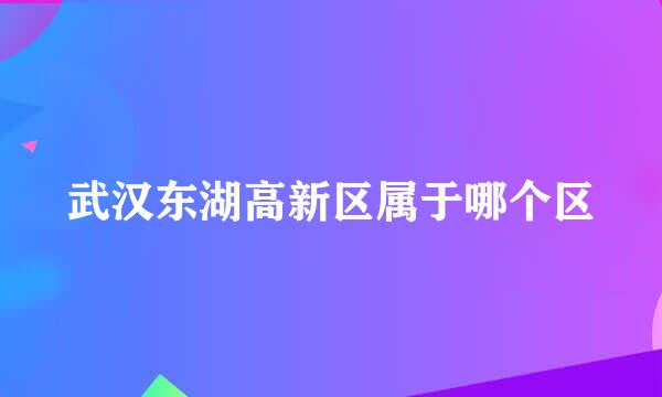 武汉东湖高新区属于哪个区