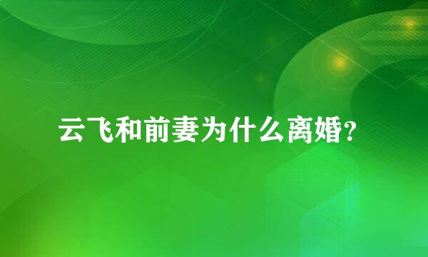 云飞和前妻为什么离婚？