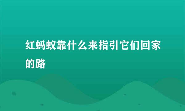 红蚂蚁靠什么来指引它们回家的路