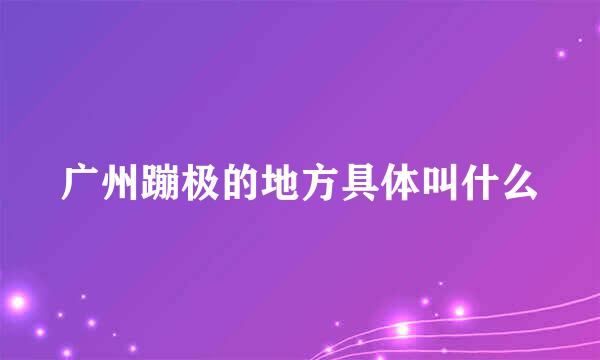 广州蹦极的地方具体叫什么