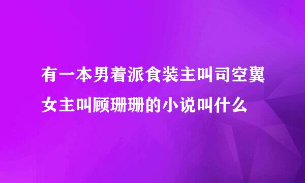 有一本男着派食装主叫司空翼女主叫顾珊珊的小说叫什么