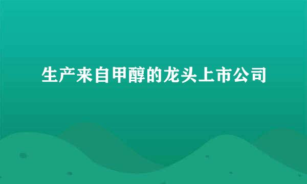 生产来自甲醇的龙头上市公司