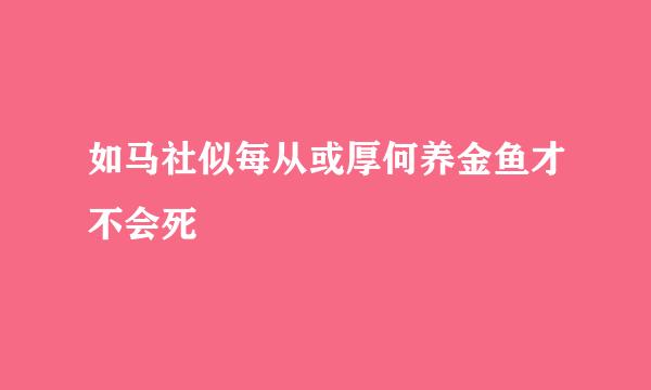 如马社似每从或厚何养金鱼才不会死