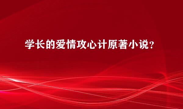 学长的爱情攻心计原著小说？