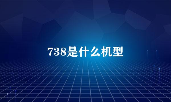 738是什么机型