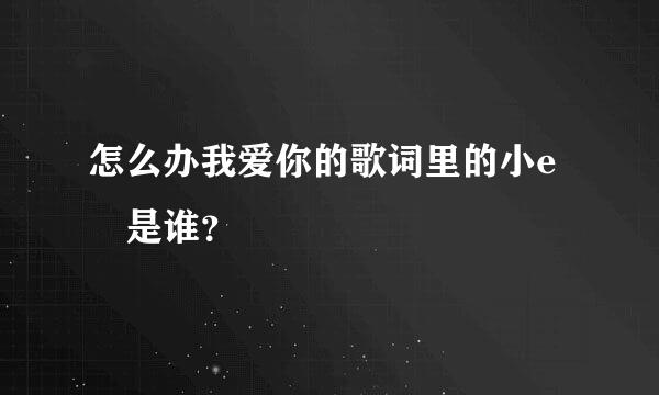 怎么办我爱你的歌词里的小e 是谁？