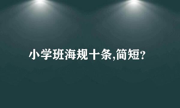 小学班海规十条,简短？