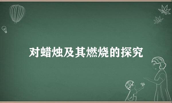 对蜡烛及其燃烧的探究