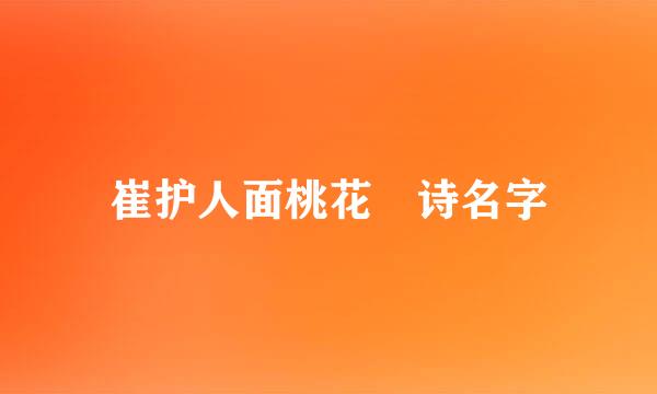 崔护人面桃花 诗名字