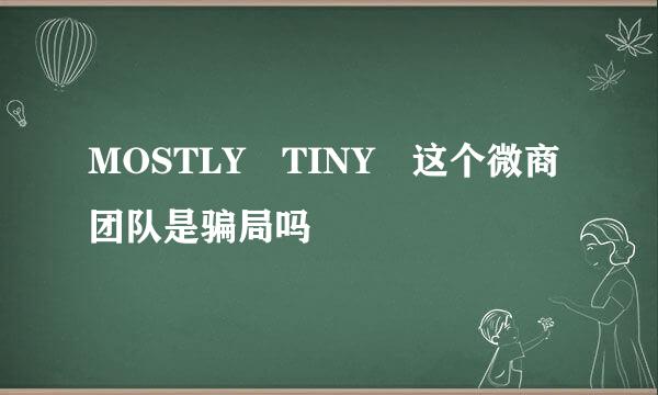 MOSTLY TINY 这个微商团队是骗局吗