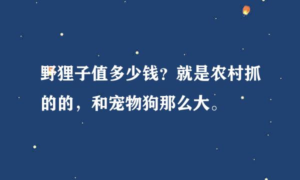 野狸子值多少钱？就是农村抓的的，和宠物狗那么大。