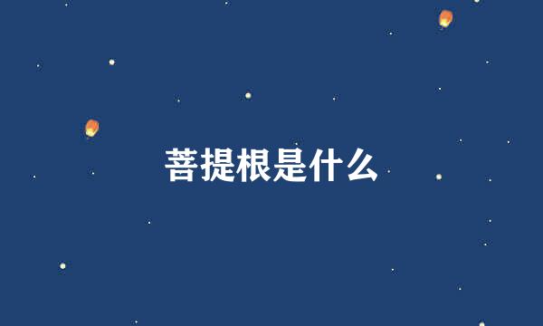 菩提根是什么