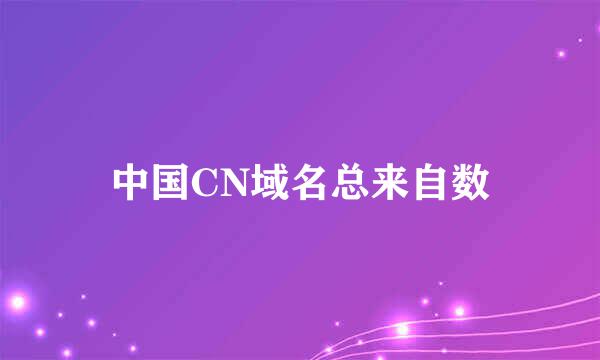 中国CN域名总来自数