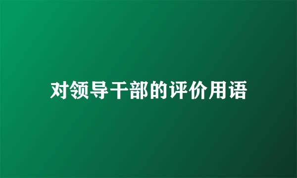 对领导干部的评价用语