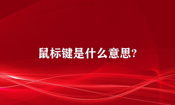 鼠标键是什么意思?