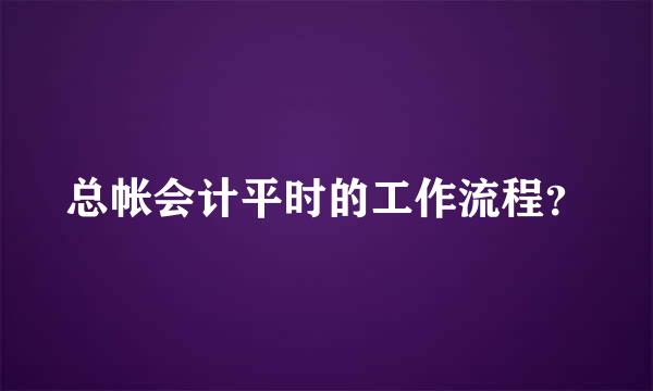 总帐会计平时的工作流程？