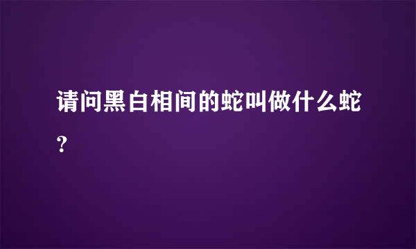 请问黑白相间的蛇叫做什么蛇？