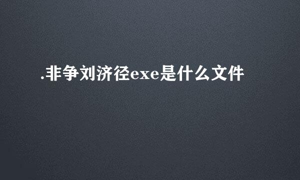 .非争刘济径exe是什么文件