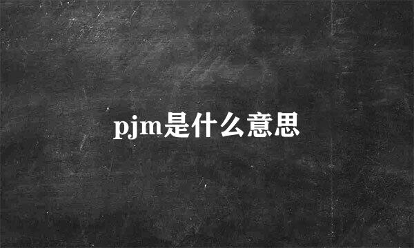 pjm是什么意思