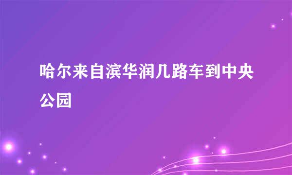 哈尔来自滨华润几路车到中央公园