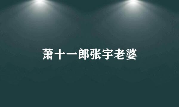 萧十一郎张宇老婆