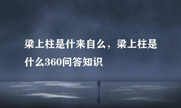 梁上柱是什来自么，梁上柱是什么360问答知识