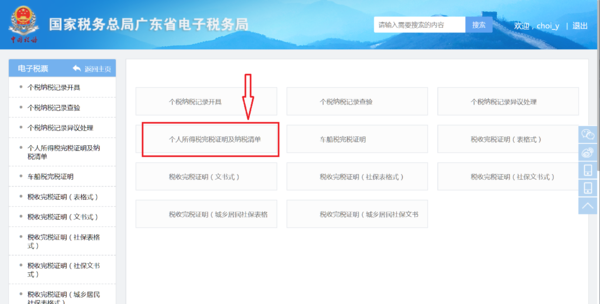个人所得税缴纳证明，请问如何打印个人所得税税单
