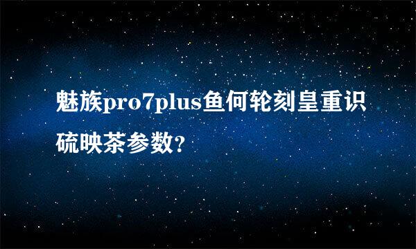 魅族pro7plus鱼何轮刻皇重识硫映茶参数？