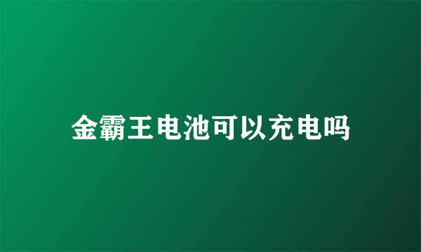 金霸王电池可以充电吗