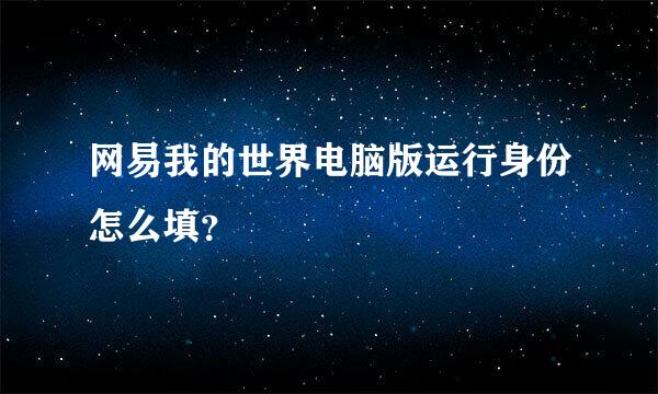 网易我的世界电脑版运行身份怎么填？