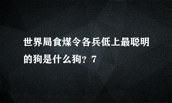 世界局食煤令各兵低上最聪明的狗是什么狗？7