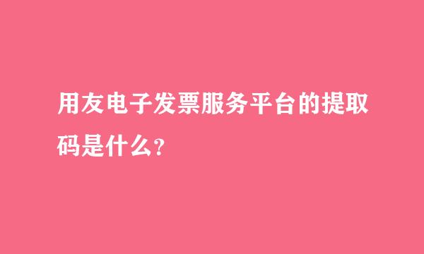 用友电子发票服务平台的提取码是什么？