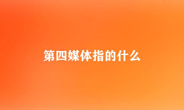 第四媒体指的什么