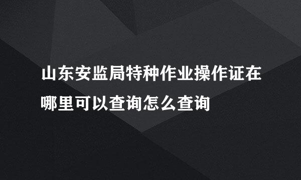 山东安监局特种作业操作证在哪里可以查询怎么查询